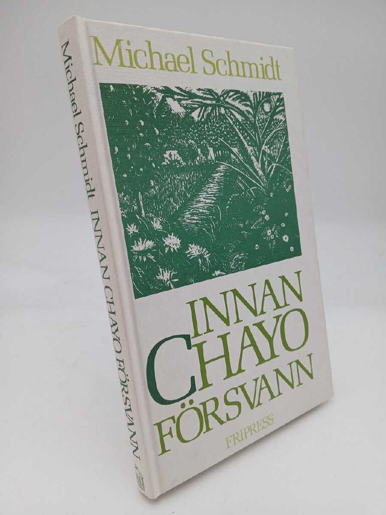 Innan Chayo försvann : roman