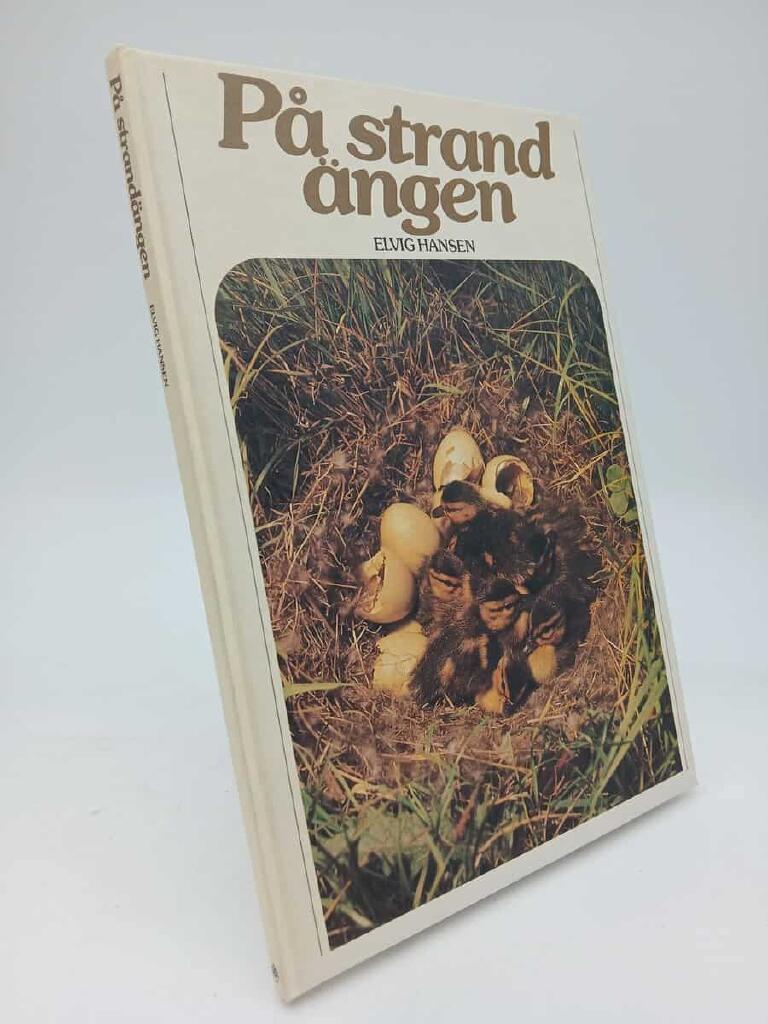 P&aring; strand&auml;ngen