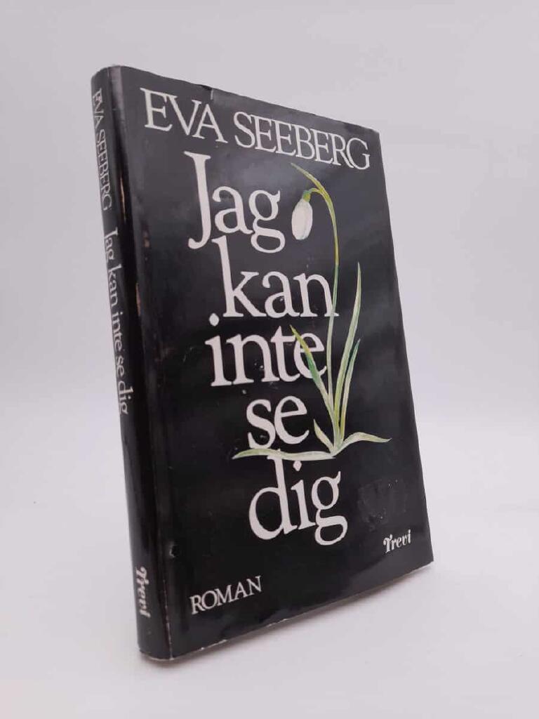 Jag kan inte se dig