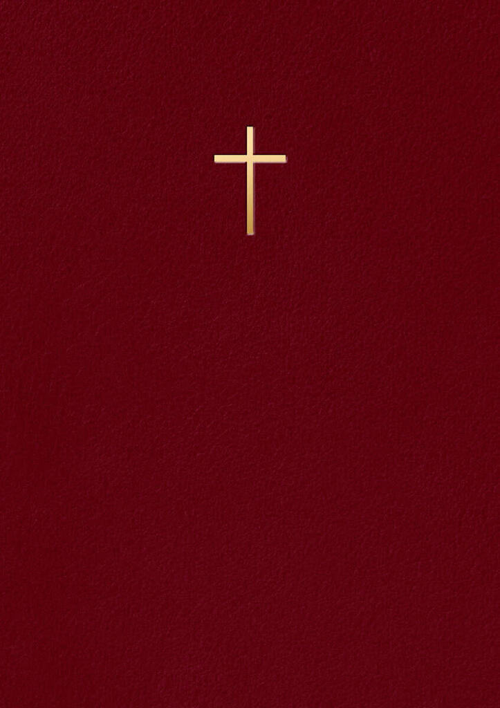 Bibel 2000 - R&ouml;d Konstskinn