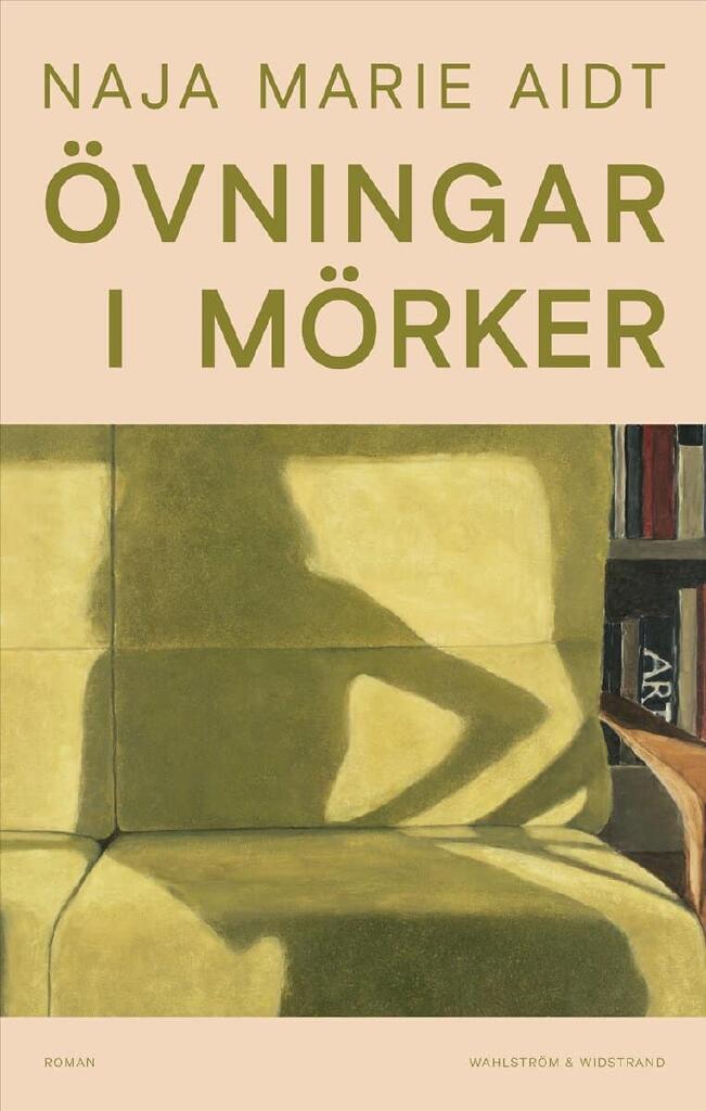 &Ouml;vningar i m&ouml;rker - roman