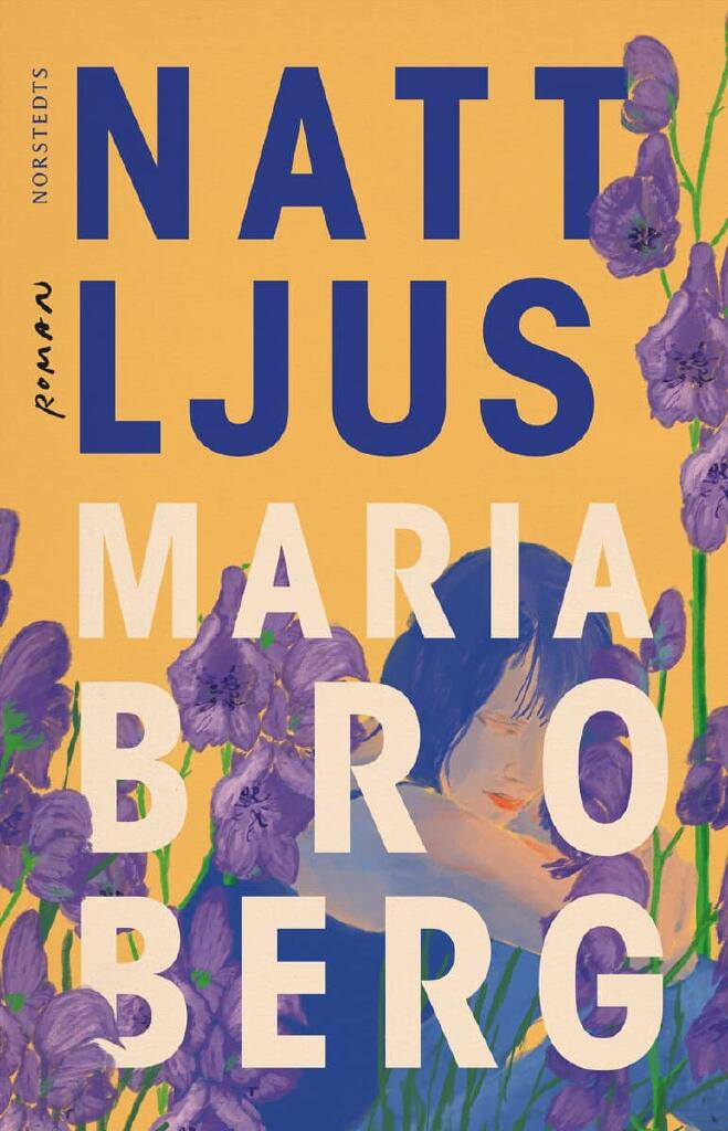 Nattljus