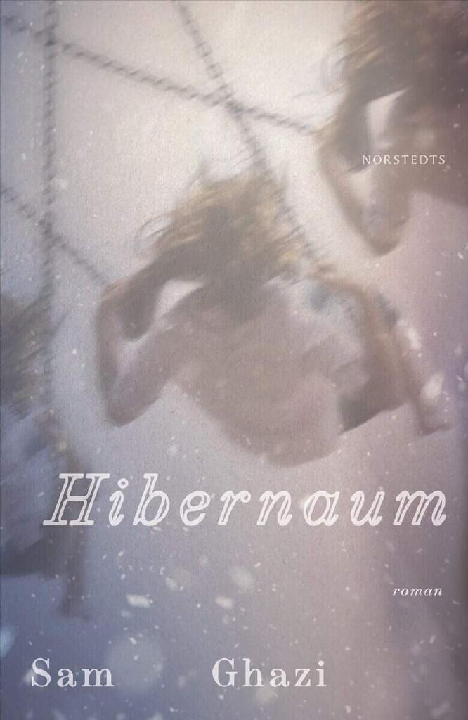 Hibernaum - roman