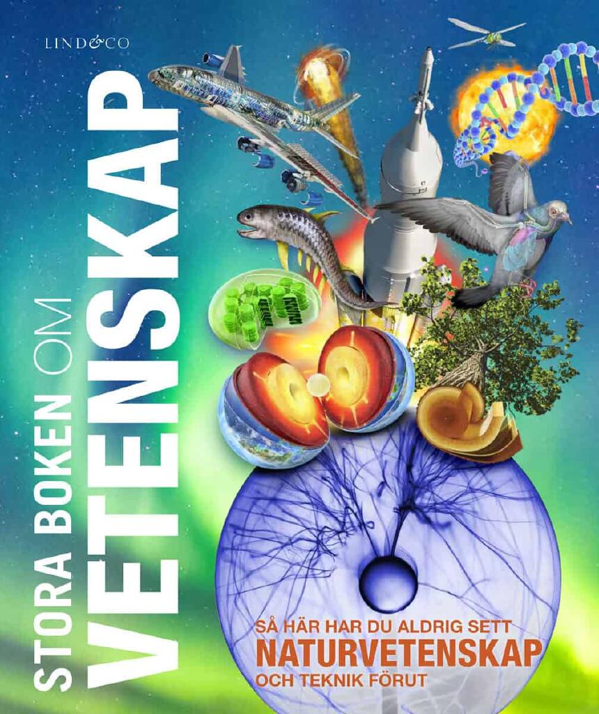 Stora boken om vetenskap