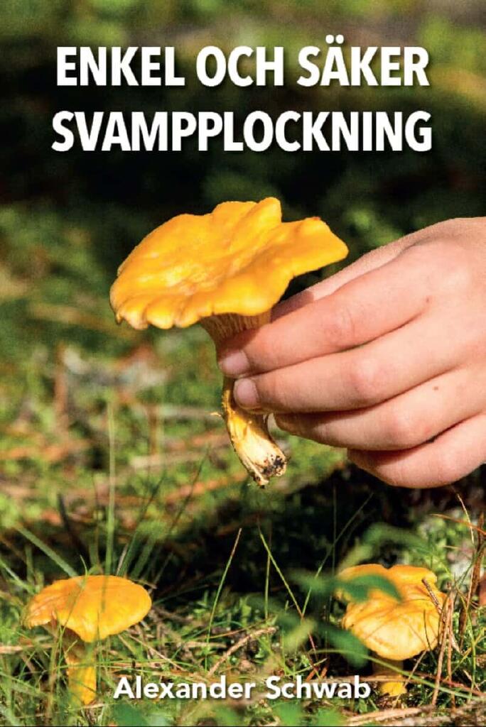 Enkel och s&auml;ker svamplockning