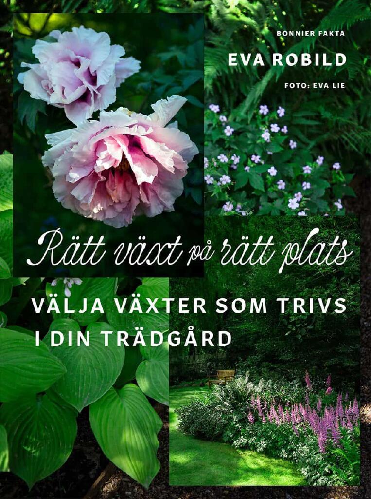 R&auml;tt v&auml;xt p&aring; r&auml;tt plats - v&auml;lja v&auml;xter som trivs i din tr&auml;dg&aring;rd