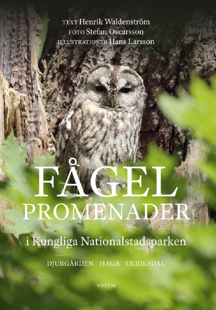 F&aring;gelpromenader i Kungliga nationalstadsparken