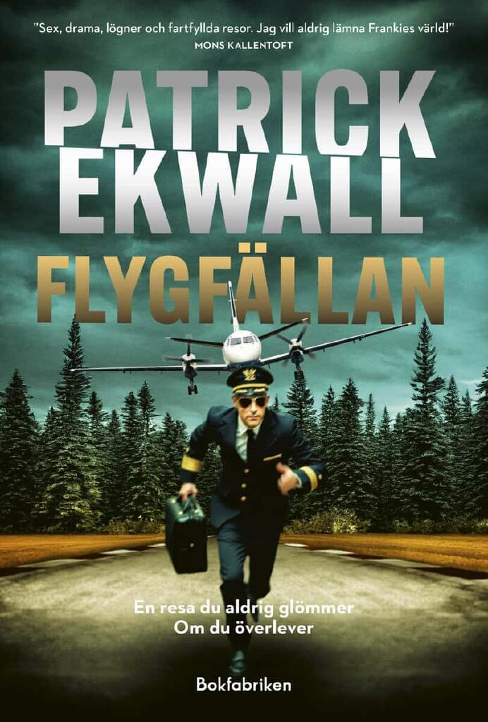 Flygf&auml;llan