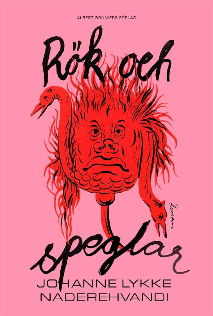 R&ouml;k och speglar