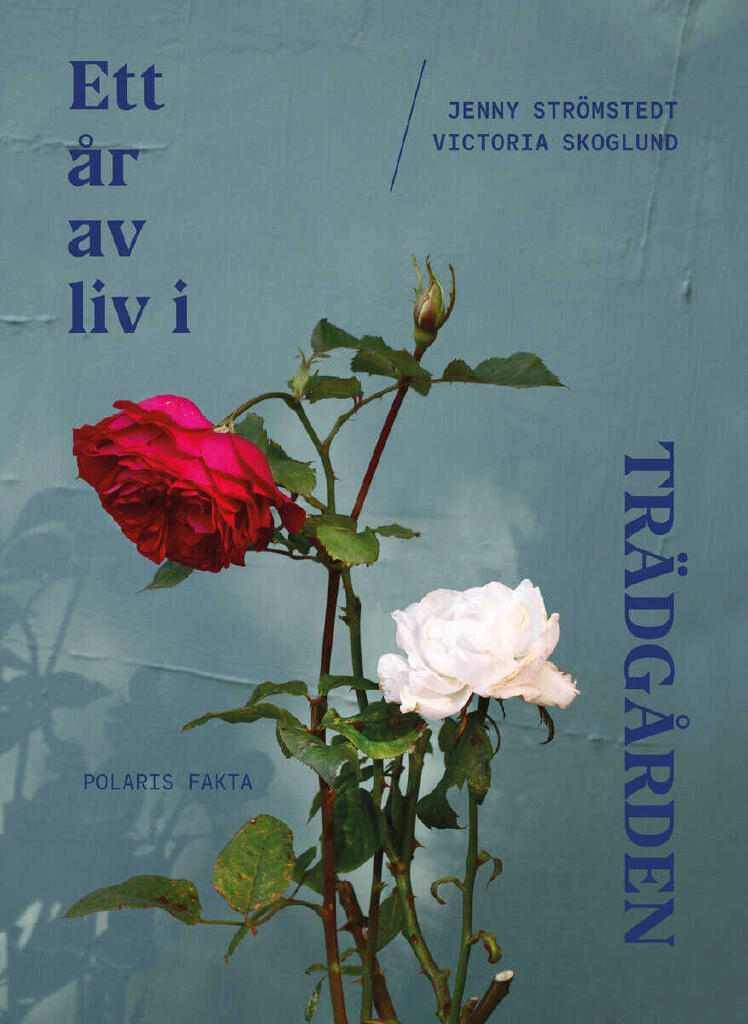 Ett &aring;r av liv i tr&auml;dg&aring;rden