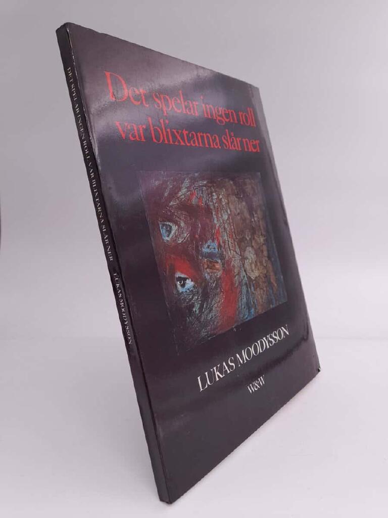 Det spelar ingen roll var blixtarna sl&aring;r ner - dikter