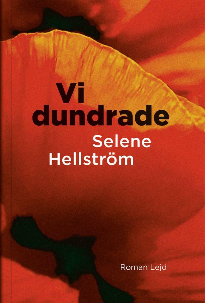 Vi dundrade - roman