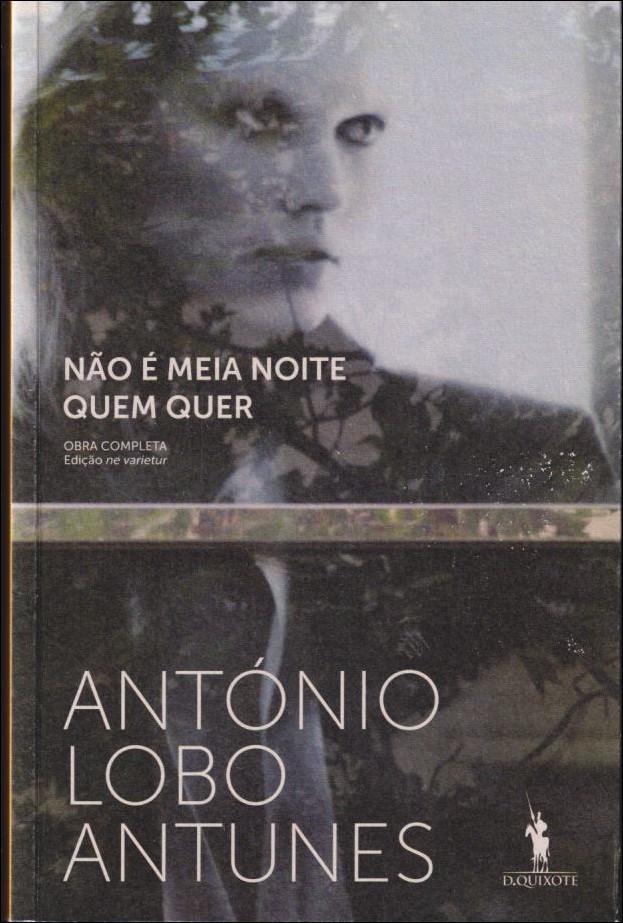 N&atilde;o &eacute; meia noite quem quer : romance