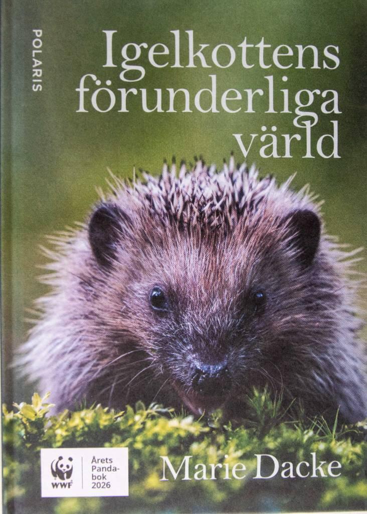 Igelkottens f&ouml;runderliga v&auml;rld