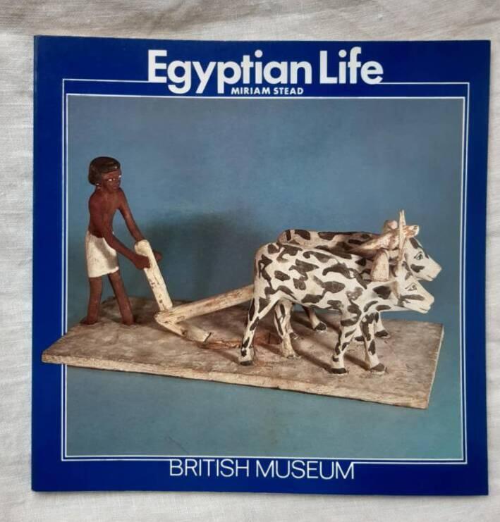 Egyptian life