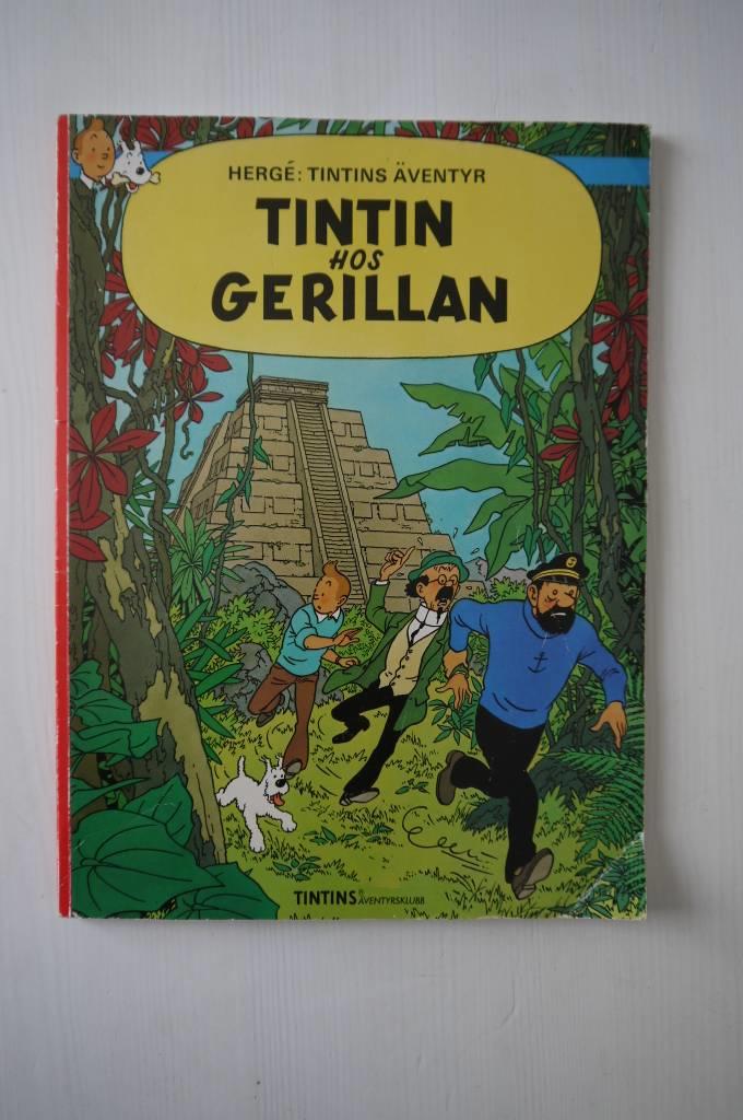 Tintin hos gerillan