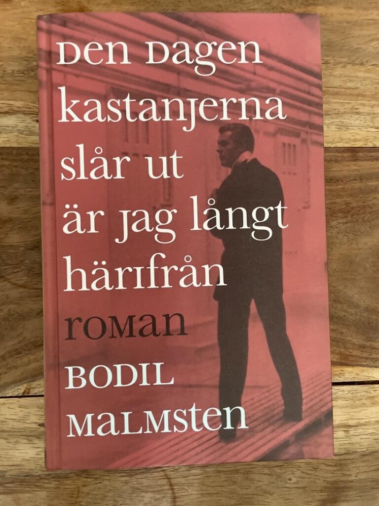 Den dagen kastanjerna sl&aring;r ut &auml;r jag l&aring;ngt h&auml;rifr&aring;n : roman