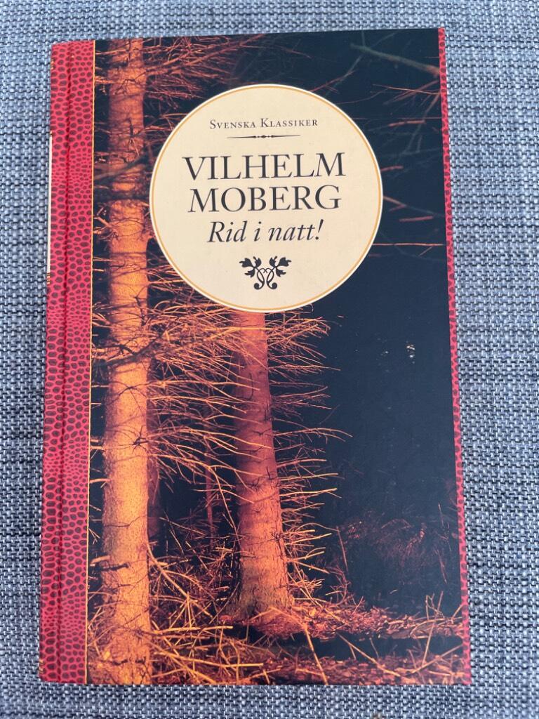Rid i natt! : roman från Värend 1650