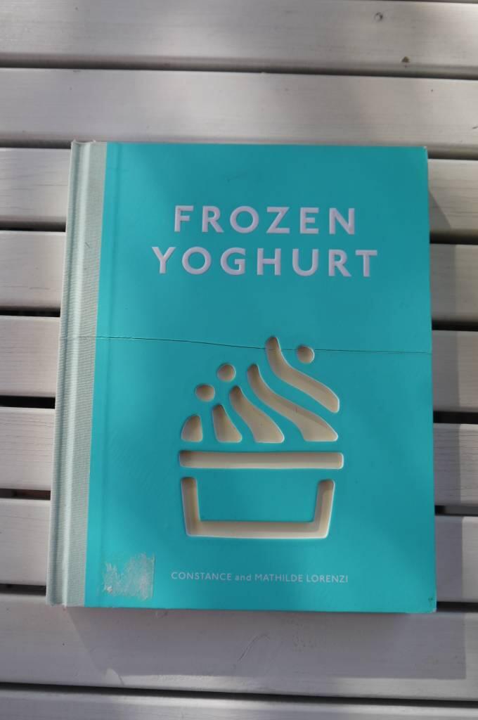Frozen Yoghurt