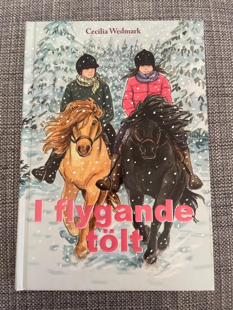 I flygande t&ouml;lt