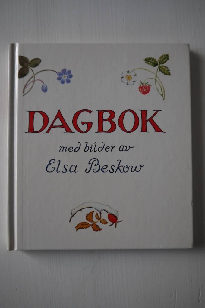 Dagbok : med bilder