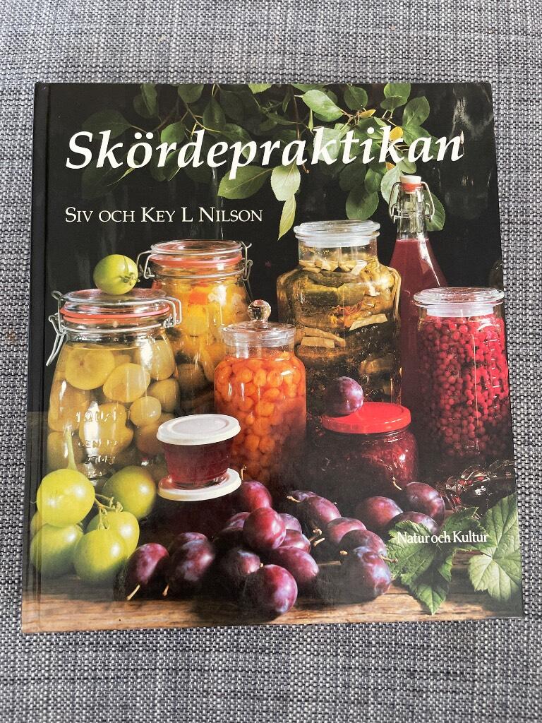 Sk&ouml;rdepraktikan