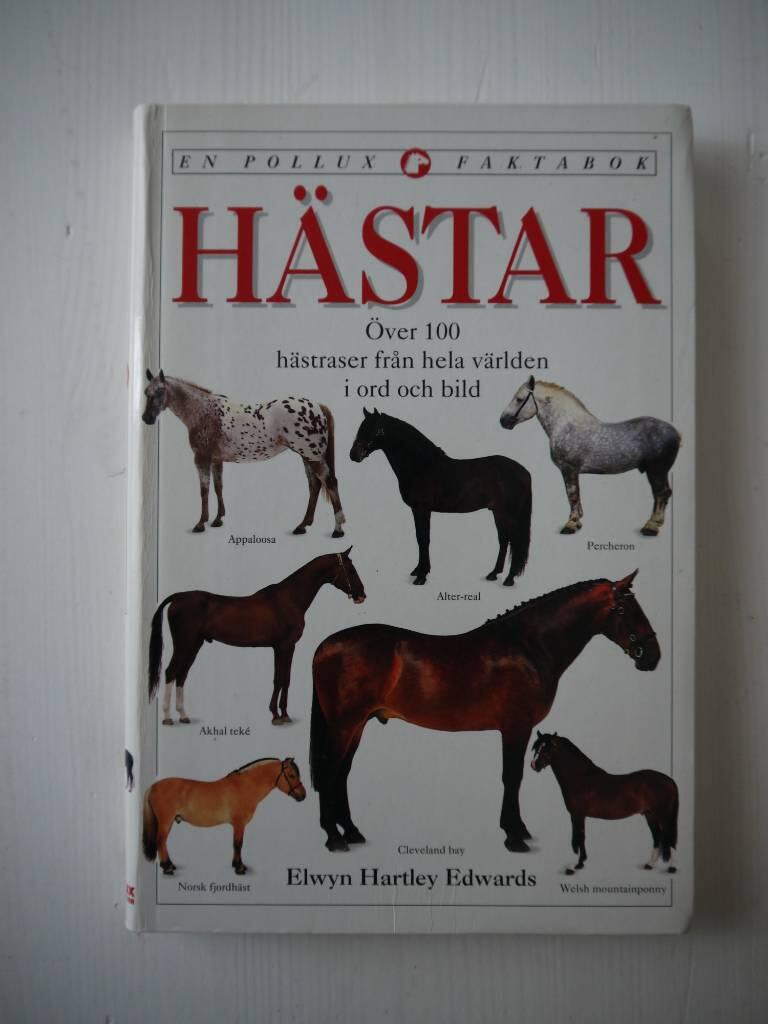 Hästar : [över 100 hästraser från hela världen i ord och bild] : [en Pollux faktabok]