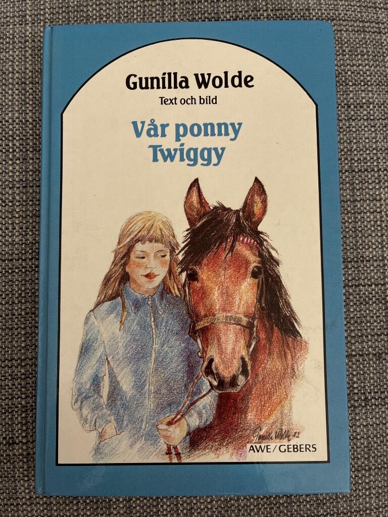 Vår ponny Twiggy