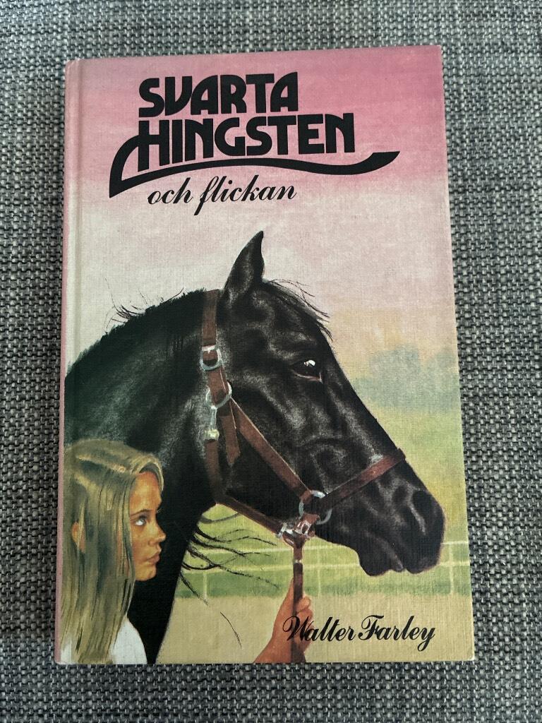 Svarta hingsten och flickan