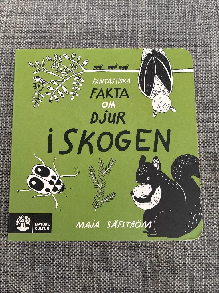 Fantastiska fakta om djur i skogen