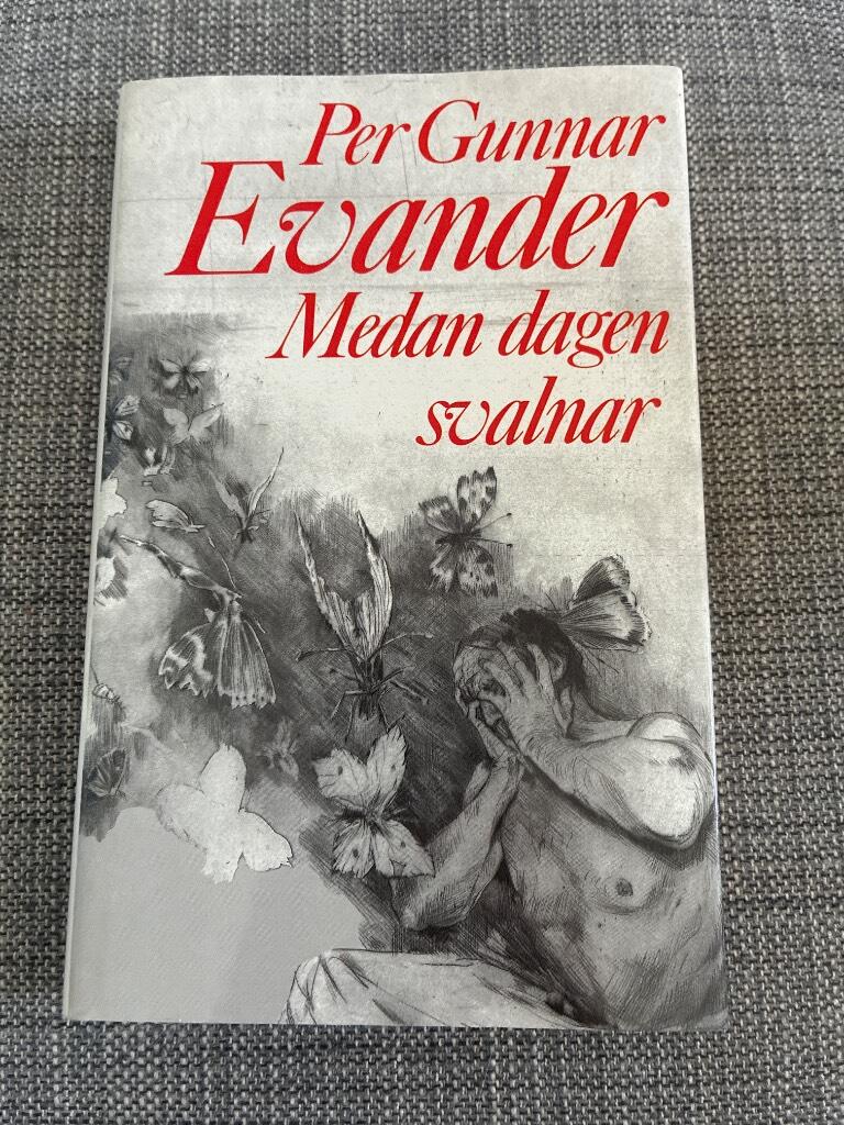 Medan dagen svalnar : roman