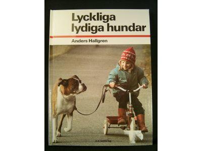 Lyckliga lydiga hundar