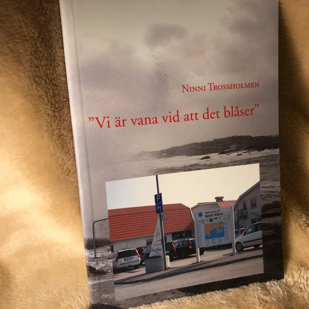 "Vi &auml;r vana vid att det bl&aring;ser" : kvinnoliv och sm&aring;f&ouml;retagande i en sk&auml;rg&aring;rdskommun
