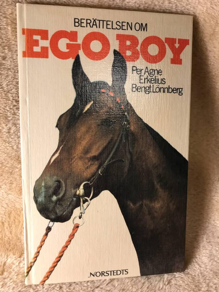 Ber&auml;ttelsen om Ego Boy