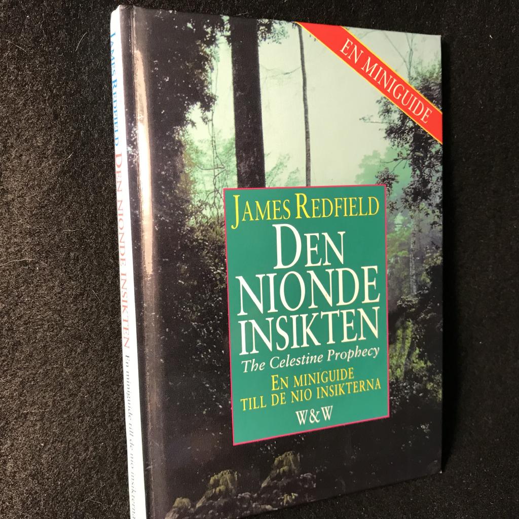 Den nionde insikten : en miniguide till de nio insikterna