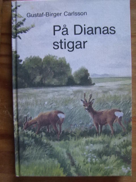 P&aring; Dianas stigar