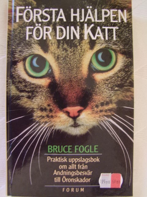 Första hjälpen för din katt