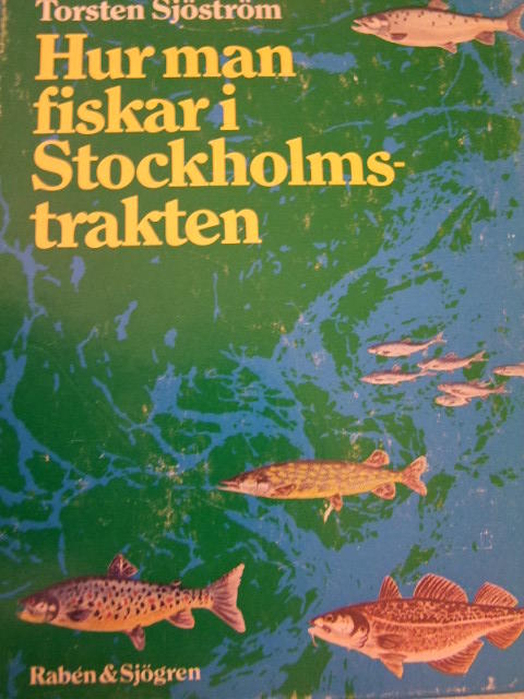 Hur man fiskar i stockholmstrakten