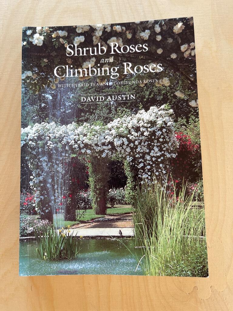 Shrub Roses and Climbing Roses - with Hybrid Tea and Floribunda Roses