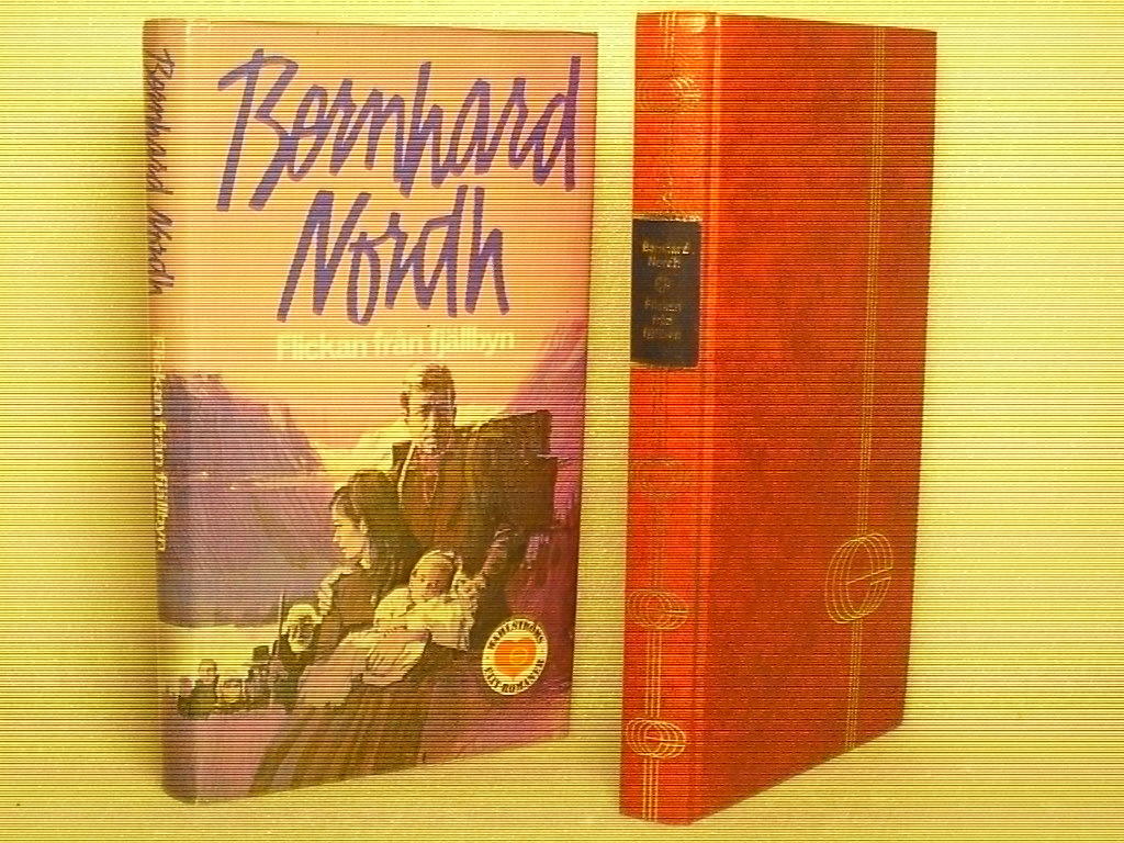 Flickan från fjällbyn