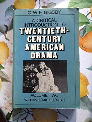 A critical introduction to twentieth-century American drama