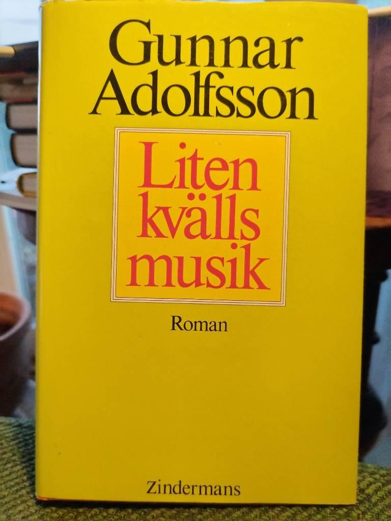 Liten kv&auml;llsmusik : roman