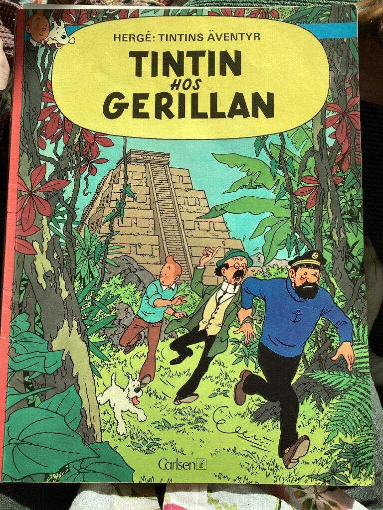 Tintin hos gerillan
