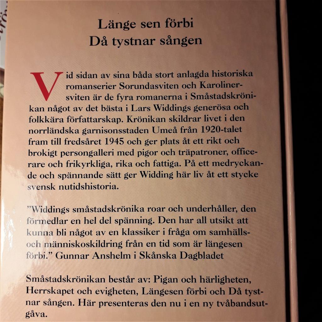 Pigan och härligheten - en småstadskrönika