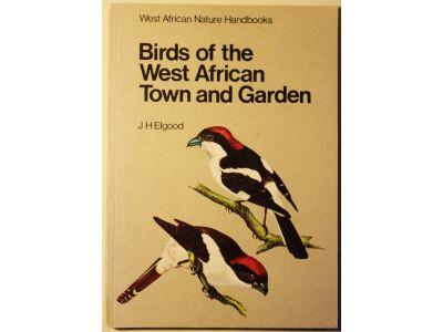 Birds of the West African town and garden