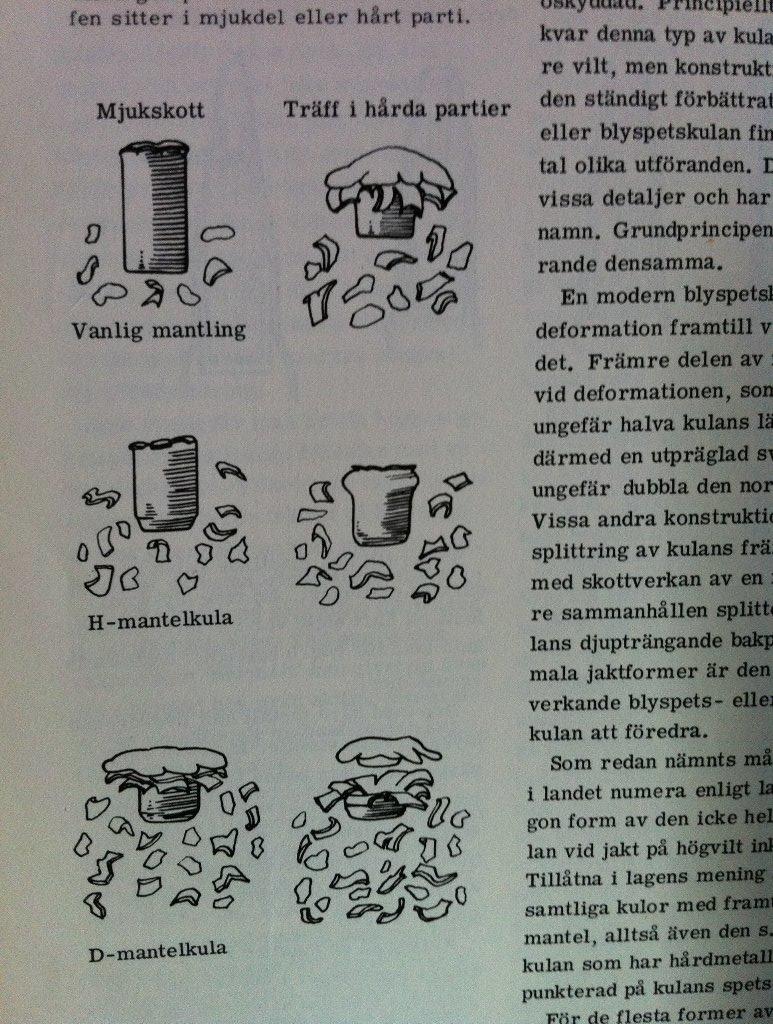 Laddat f&ouml;r &auml;lg och annat : av Nils Kvale