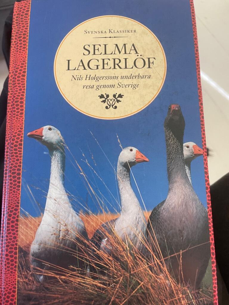 Nils Holgerssons underbara resa genom Sverige