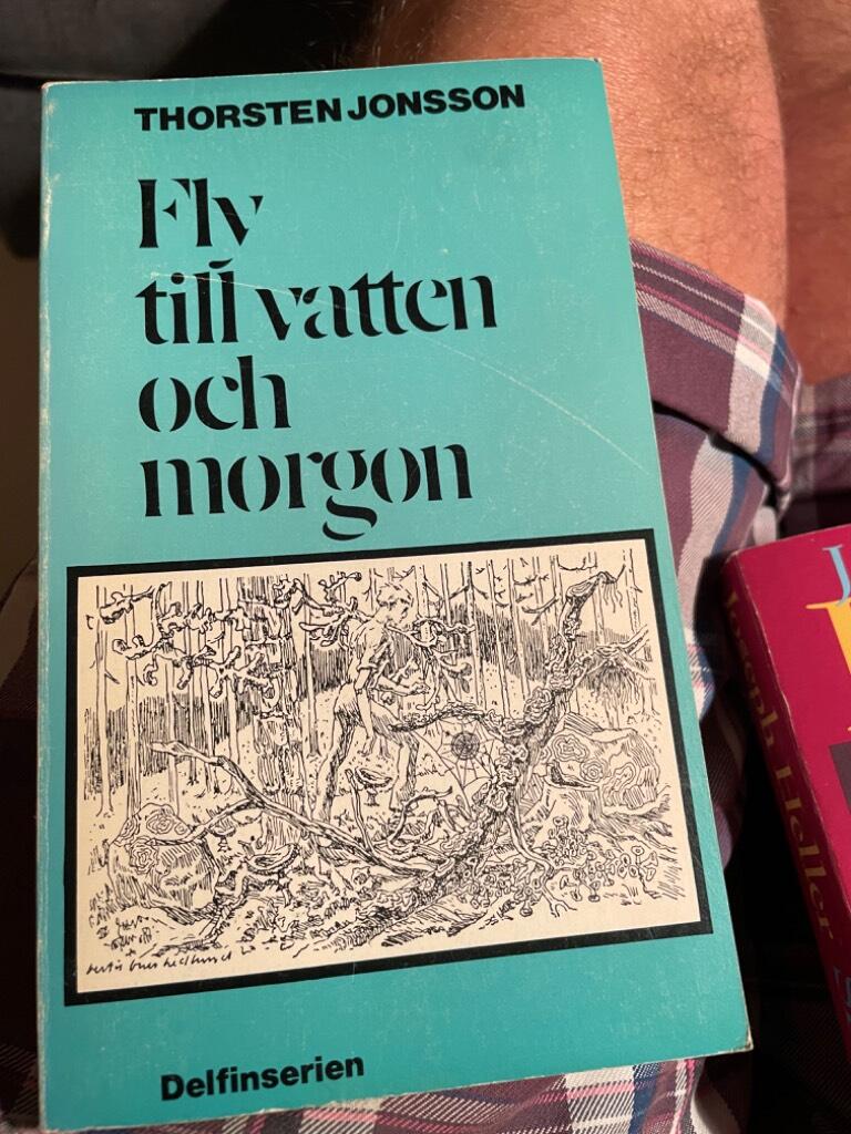 Fly till vatten och morgon