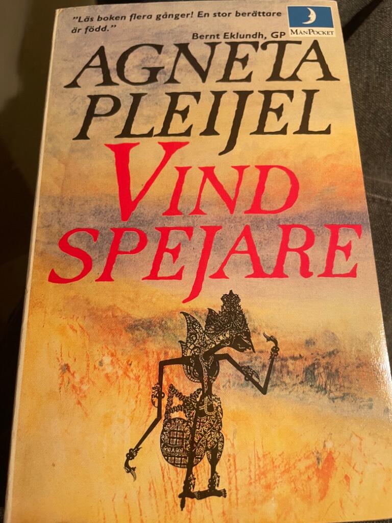 Vindspejare : boken om Abel m&aring;laren