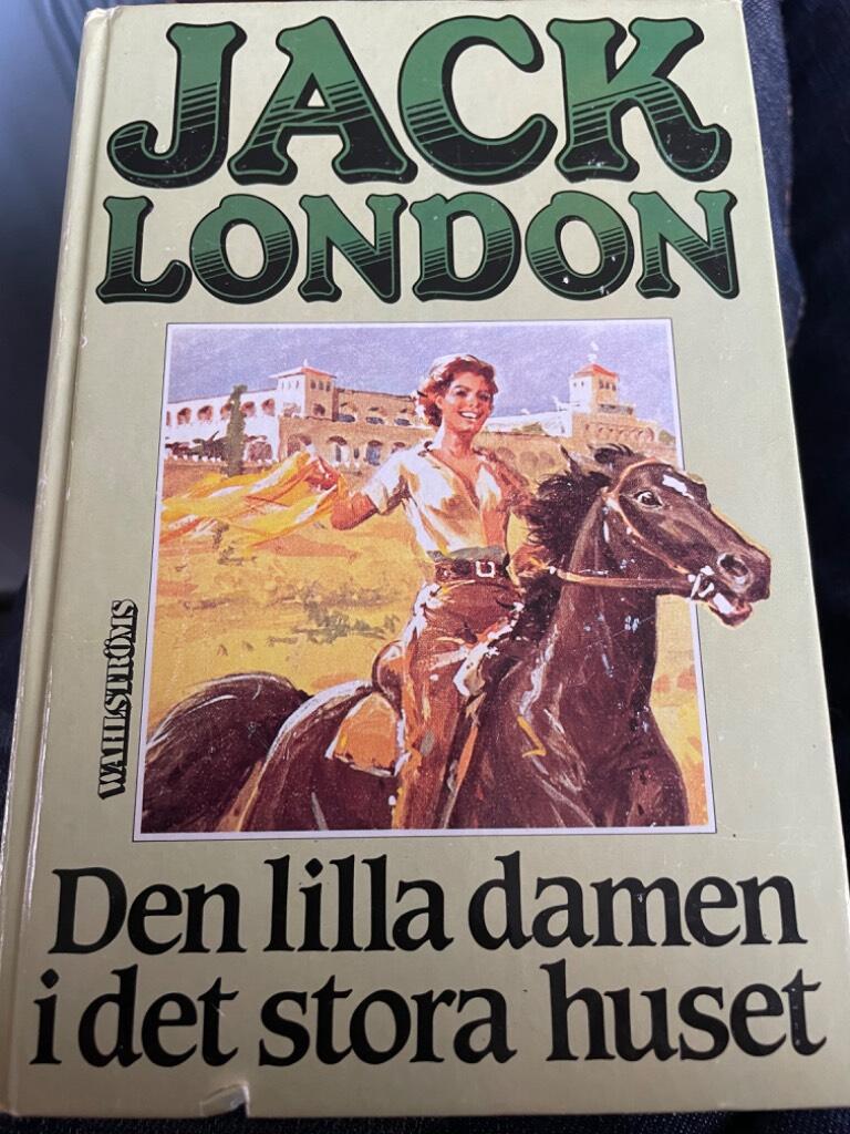 Den lilla damen i det stora huset